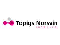 Topigs Norsvin