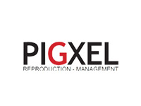 Pigxel